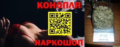 гидра Малгобек