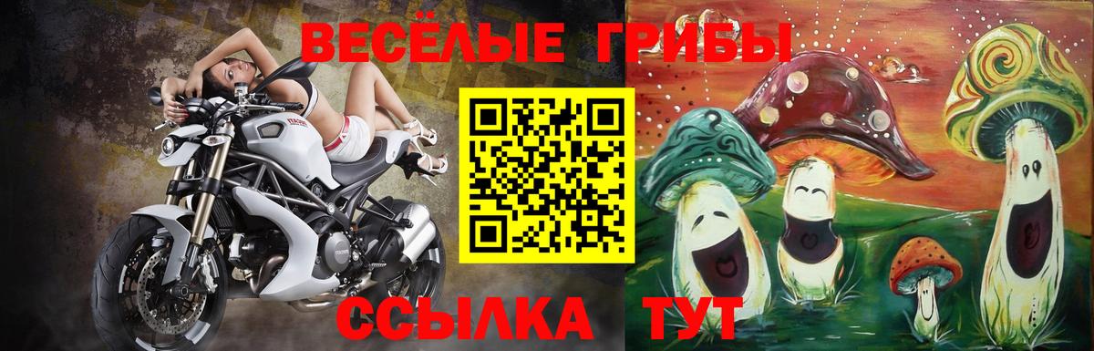 Галлюциногенные грибы Magic Shrooms  Вход с VPN  Псилоцибиновые грибы Psilocybine cubensis  Горячий Ключ 